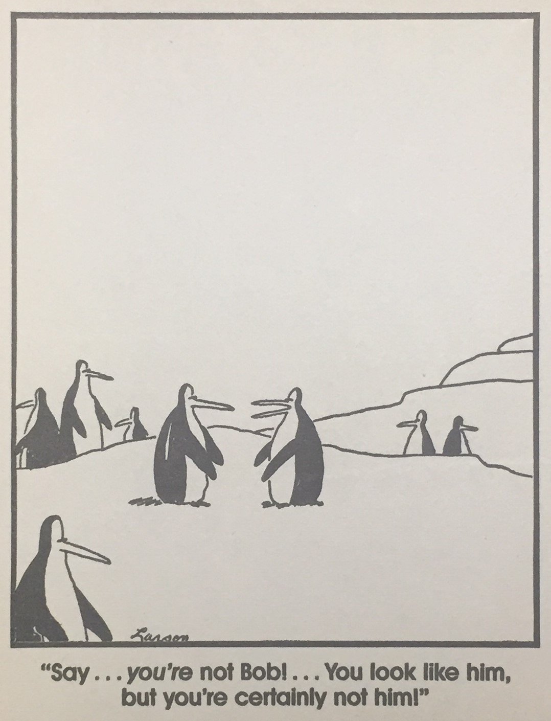 Penguin Cartoon
