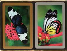 Butterfly Bridge Playing Cards